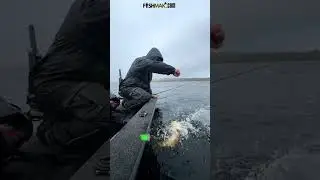 ✅🇺🇸FISHMAK.COM is your go-to online shop for fishing gear #fishing #fishingvideo #shortsvideo