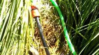 Bomba Ariete versi&oacute;n 1.0 2/4
