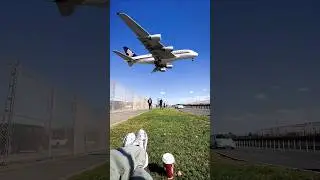 Why 90% of Airplanes Are Painted White🛩️ | InfoScope