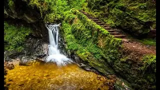 Puck's Glen by Peter R. MacLeod