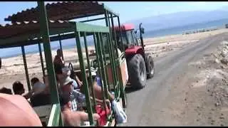 Ein Gedi