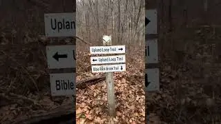 Secret trails hit different #together #connecticut #hikes #hiddengem