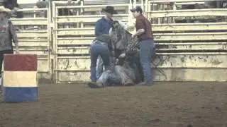 January 2016 Sundance Rodeo BULL HOCKEY