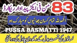 best variety of rice  || How to Get High Yield Production Rice Farming  || #1847