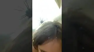 up down round round
