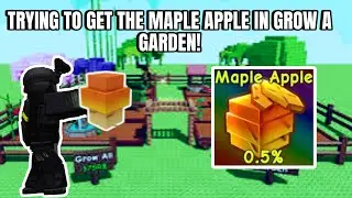 Trying to get Maple Apple in Grow A Garden!