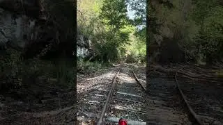 Express Railcar #7