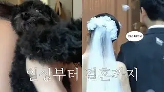 결혼 전 마지막 일상부터 본식까지 | 8년 연애 엔딩