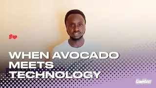 From Farm to Table, Tech Behind Sustainable Avocado Production: Japheth's Innovation Idea from Kenya