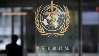 WATCH LIVE: World Health Organization provides update on coronavirus