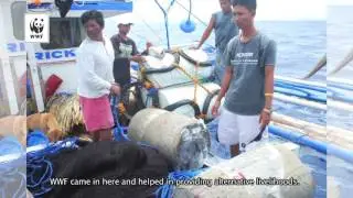 Mindoro Story: Apo Reef
