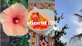 Slice of Life 🍰| Life in India 🇮🇳| Aesthetic Homebody Vlog💌☕️🧿