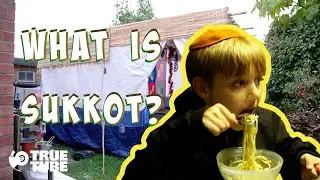 Sukkot - The Jewish Harvest Festival