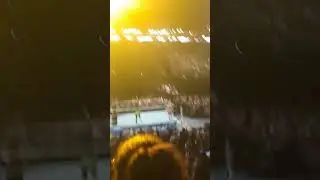 Bayley entrance WWE Backlash France #bayley #wwe #wwebacklash #wrestling #backlash2024 #backlashlyon