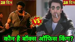 Animal vs Salaar Collection Comparison | Salaar vs Animal Who is the Real King