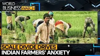 Soybean Oil Imports May Pressure Domestic Growers | World Business Watch | WION News