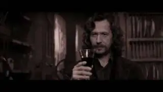 Tribute to Sirius Black - When you were young
