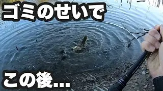 事故発生🚨ルアーがゴミに引っかかったせいで...【ナマズ釣り】