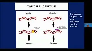 Webinar CEPR The Economy, The Ghost in your Gene and the Escape from Premature Mortality