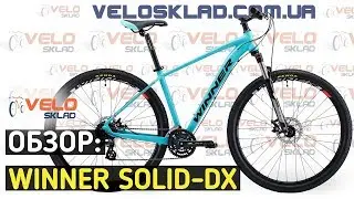 Обзор найнера Winner Solid DX 2019
