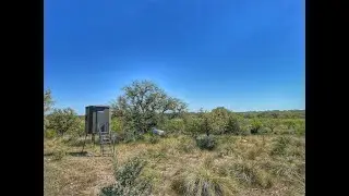 ASF Little Chingon Deer Hunting Blind