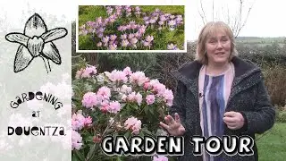 February Garden Tour || Early Spring Jobs & What's Looking Good