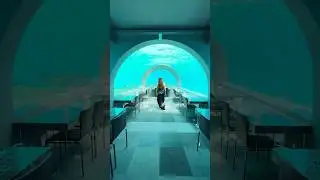 Would you dine in this underwater restaurant?💫 #hotel #maldives #shorts