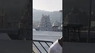 Bala ji tirupati andrapresh video dekhiye #tirupati#trending #viralvideo