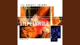 Stupid Steppenwolf (Pt 1)