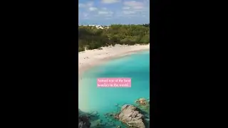 Horseshoe Bay Beach: Named one of the Top 50 Beaches in the World | Go To Bermuda
