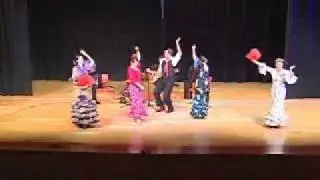 Diana Dinicola of Flamenco Louisville