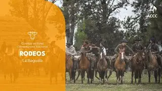 PRIMERA SERIE DE RODEOS
