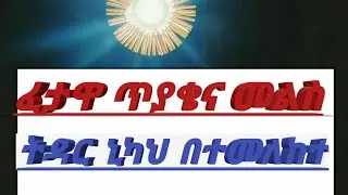 የፈታዋ ጥያቄ እና መልስ ትዳር ኒካህ ሁሉም የተዳሰሰበት