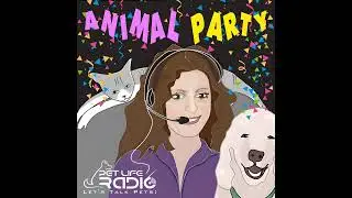 Animal Party Episode 95 Cats: Therapy Cats and Flying, Birds vs. Cats and City Rules Regulating Cats