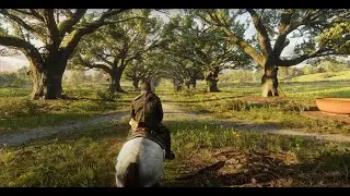 READ Redemption2: GAMEPLAY E ENTRETENIMENTO
