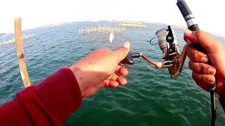 MANCING SERU DI BAGAN TENGAH LAUT