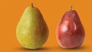 Sage Fruit Fruit Line-Up - The Produce Moms