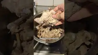 HOW TO MAKE ANTI AGING COLLAGEN BONE BROTH