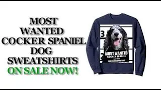 Most Wanted Cocker Spaniel Funny Dog Sweatshirts - Men's, Women's, Kid's - Black, Grey, Navy