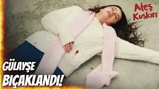 Sokak çocuğu, Gülayşe'yi bıçaklıyor - Ateş Kuşları 1. Bölüm