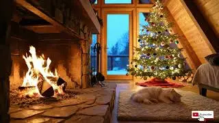Evening Harmony 🌿 12 Hours Calming Cat Sleep Music for Tranquility and Comfort 🐾