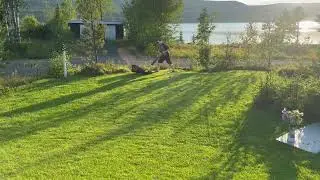 Fiskars StaySharp Max