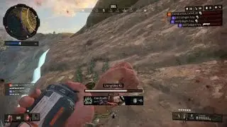 Mog plays