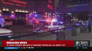 At Least 3 People Shot At Newport Centre Mall In Jersey City