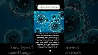37. Video #china #new #virus #langya #outbreak #animals #human
