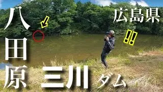 【ロクマルフィールド】やっぱりココは、デカいのが釣れる‼︎  怒涛のデカバス連発劇！『広島県・八田原ダム、三川ダム』-バス釣り- 『カバーゲームを制する者は、バスフィッシングを制する』