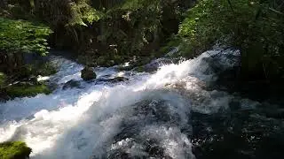 Pearsony Falls, Prospect OR