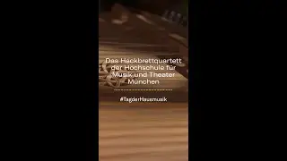 Musik auf dem Hackbrett spielen?!?