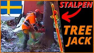 Best Lightweight Tree Jack For Precision Tree Felling - Stalpen Tree Jack