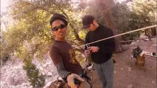 Ziplined Courtesy of Dorje